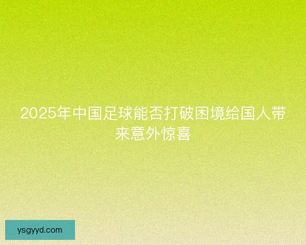 2025年中国足球能否打破困境给国人带来意外惊喜