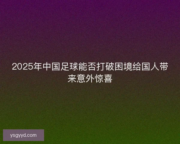 2025年中国足球能否打破困境给国人带来意外惊喜