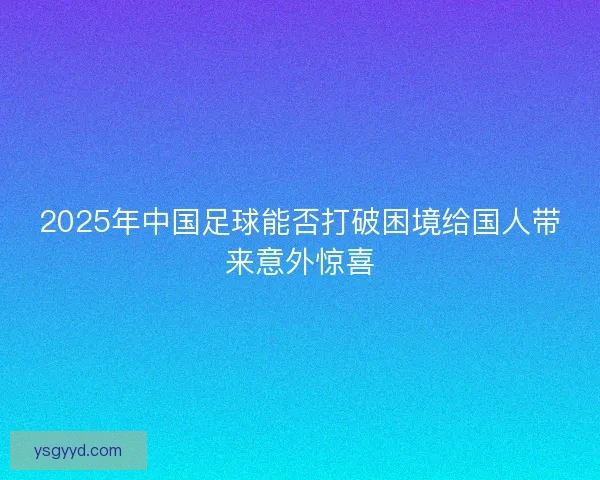 2025年中国足球能否打破困境给国人带来意外惊喜
